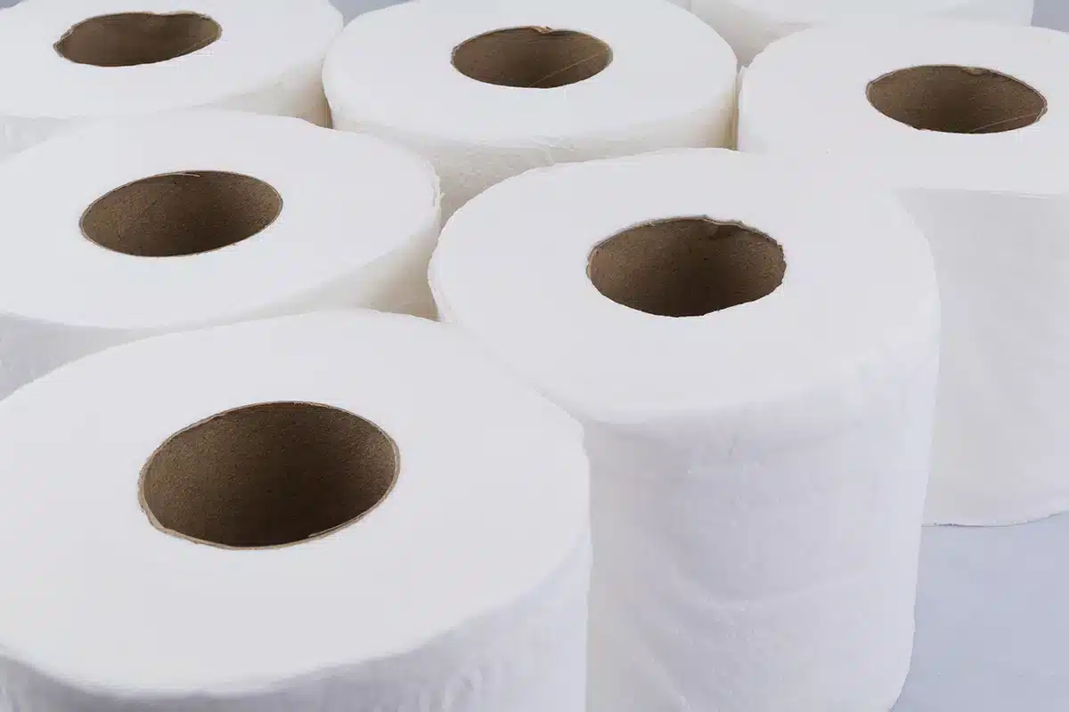 toilet paper rolls side by side