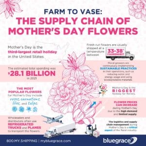 bg 1627925_MothersDayFloralInfographic_050423