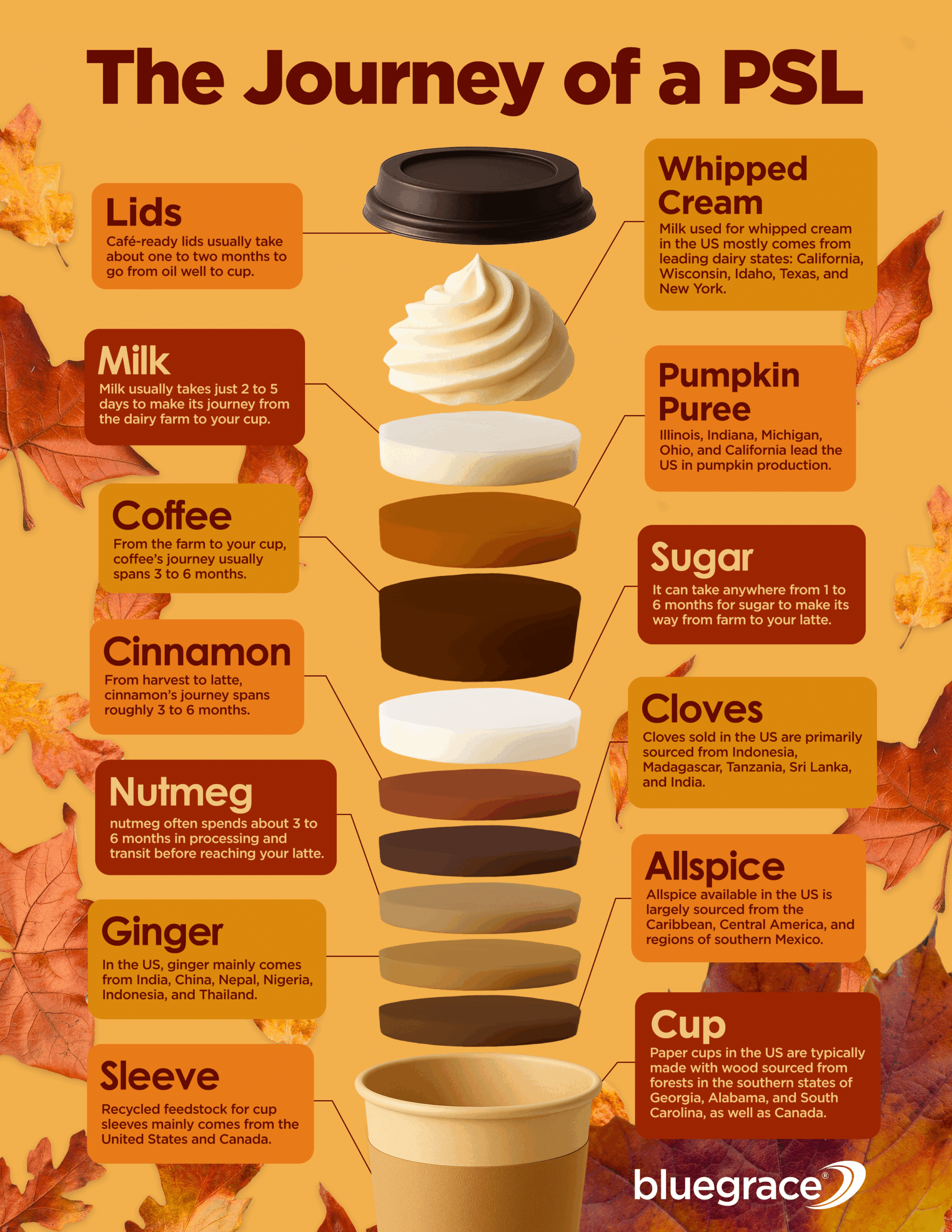 The Journey of a PSL Infographic