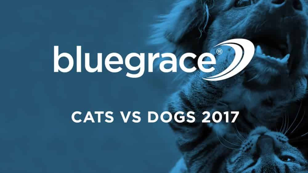Cats and Dogs Benefit from BlueGrace Food Drive cover pic