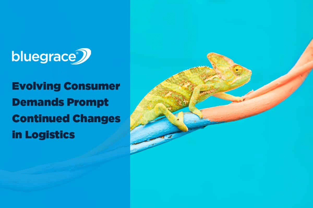BlueGrace banner: Evolving Consumer Demands Prompt Continued Changes in Logistics featuring a chameleon on a branch.