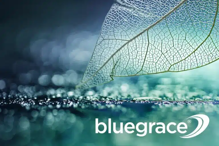 BlueGrace logo with a close-up of a translucent leaf skeleton resting on a dark, wet surface with bokeh lighting.