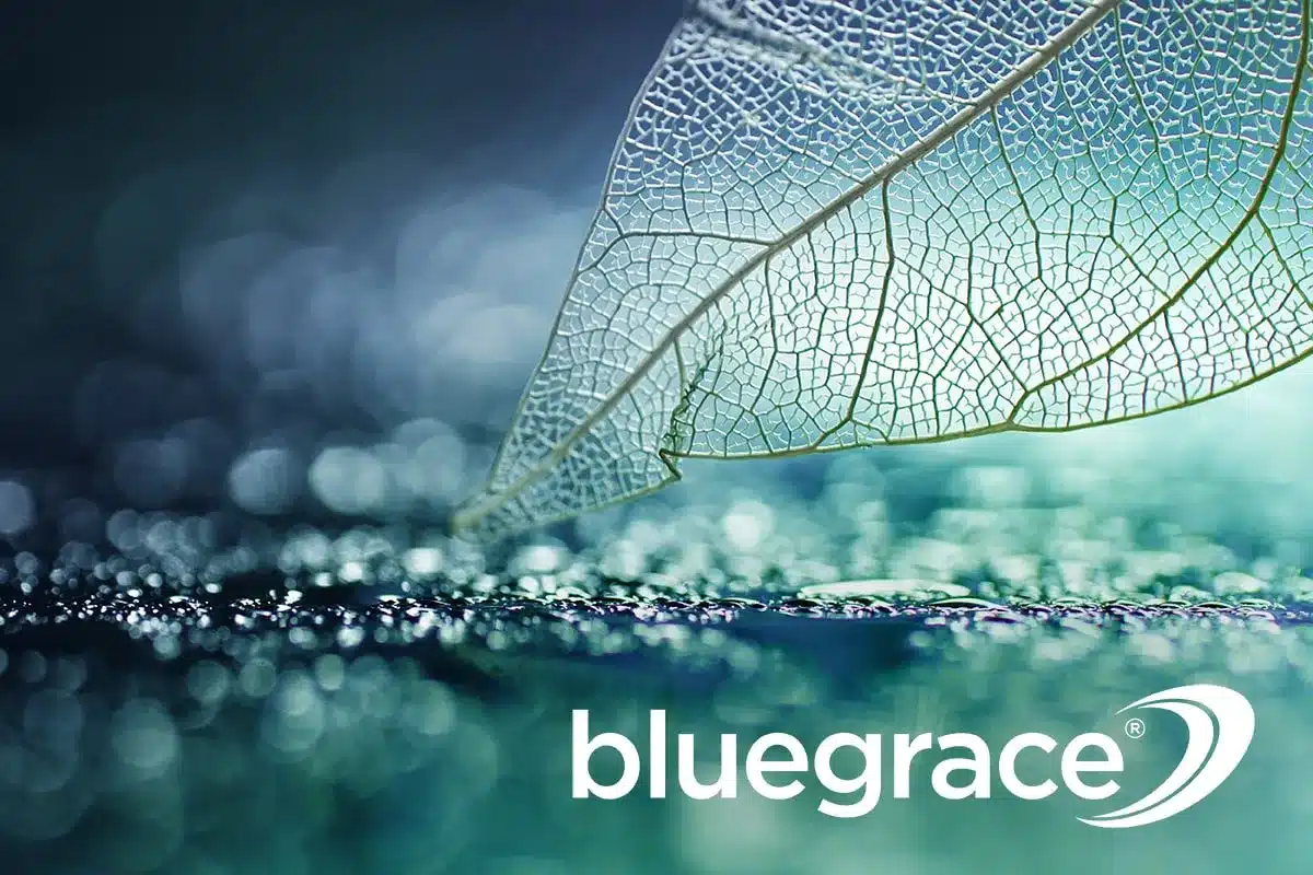BlueGrace logo with a close-up of a translucent leaf skeleton resting on a dark, wet surface with bokeh lighting.