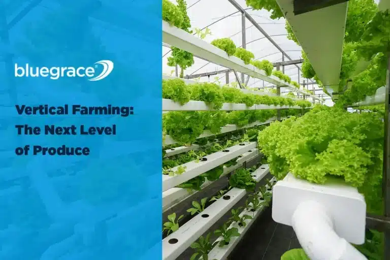 BlueGrace banner: Vertical Farming: The Next Level of Produce with rows of hydroponic lettuce.