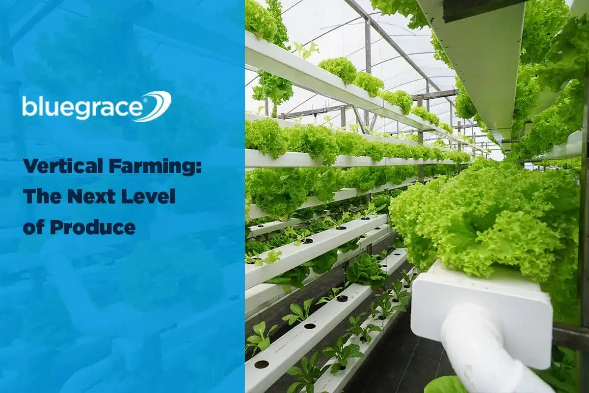 BlueGrace banner: Vertical Farming: The Next Level of Produce with rows of hydroponic lettuce.
