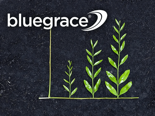 Bluegrace logo above a growth chart made of plant stems and leaves in soil, illustrating a green supply chain and sustainable logistics growth.