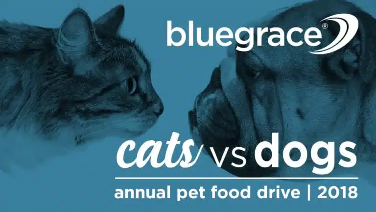 BlueGrace banner: cats vs dogs annual pet food drive 2018 with a cat and dog facing each other.