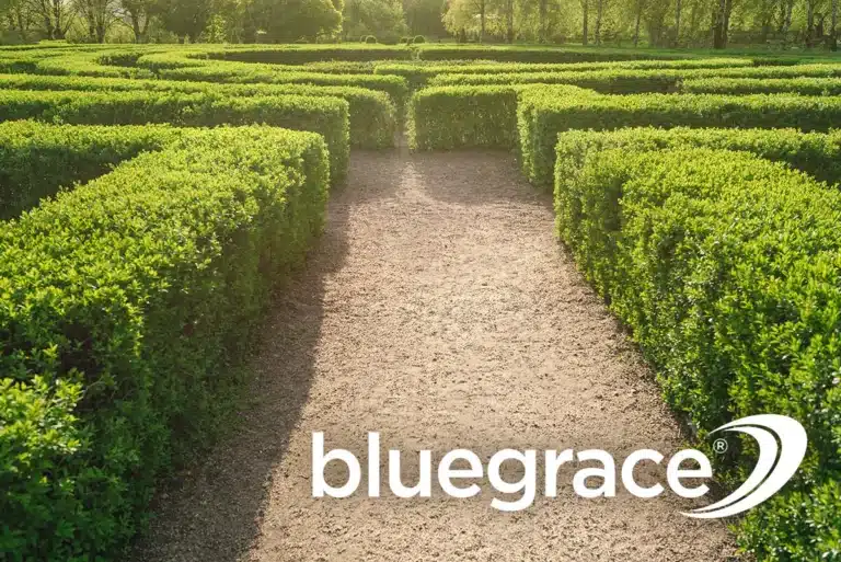 BlueGrace logo at the entrance of a dense green garden hedge maze under sunlight.