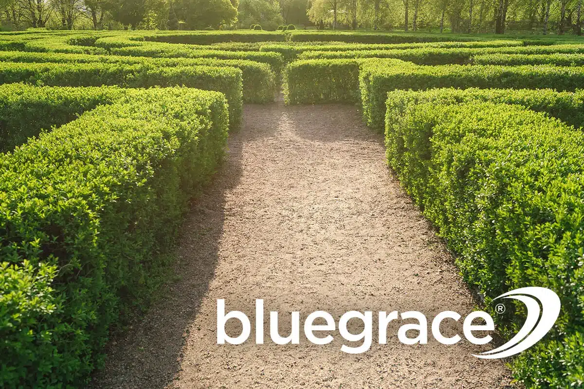 BlueGrace logo at the entrance of a dense green garden hedge maze under sunlight.