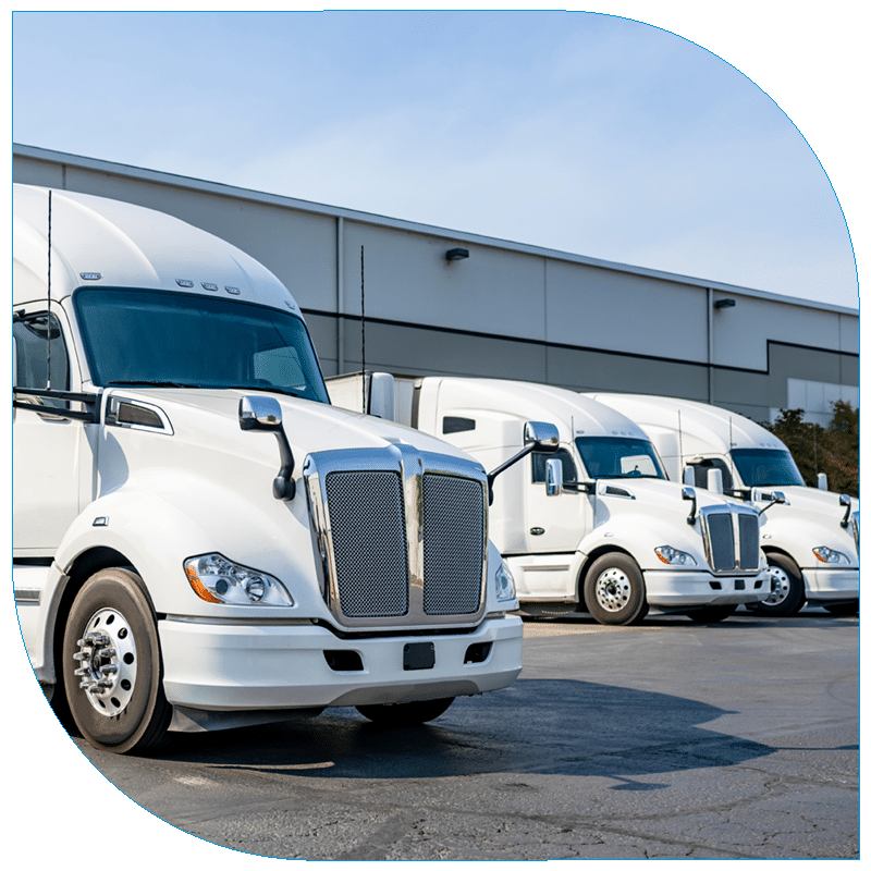 A row of several white modern semi-trucks parked in front of a large, gray industrial warehouse building on a clear day.