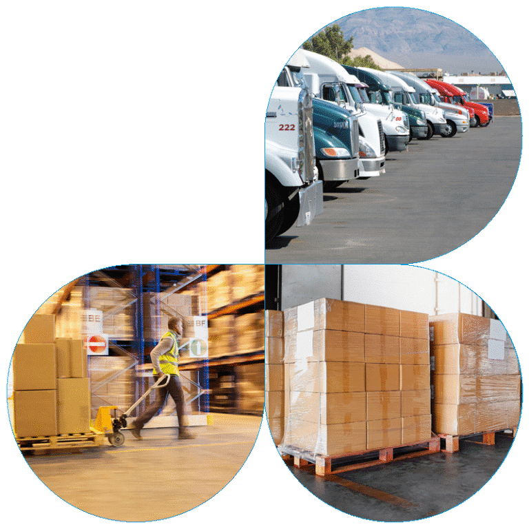 Blue Grace options Freight 4