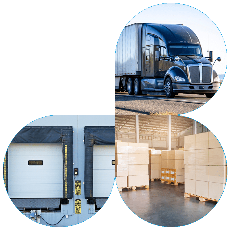 Blue Grace options Freight 3