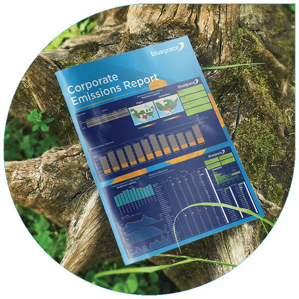 A BlueGrace Corporate Emissions Report resting on a natural mossy tree trunk, visually connecting data-driven supply chain analytics with environmental conservation efforts.