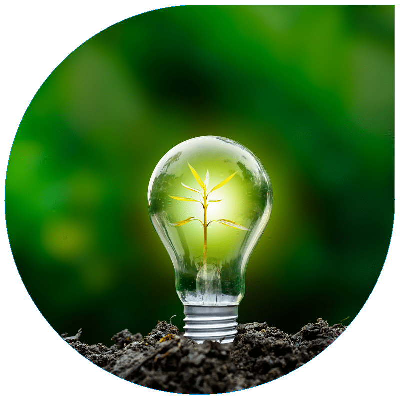 A glowing light bulb with a small green plant growing inside, resting on dark soil against a blurred natural green background.