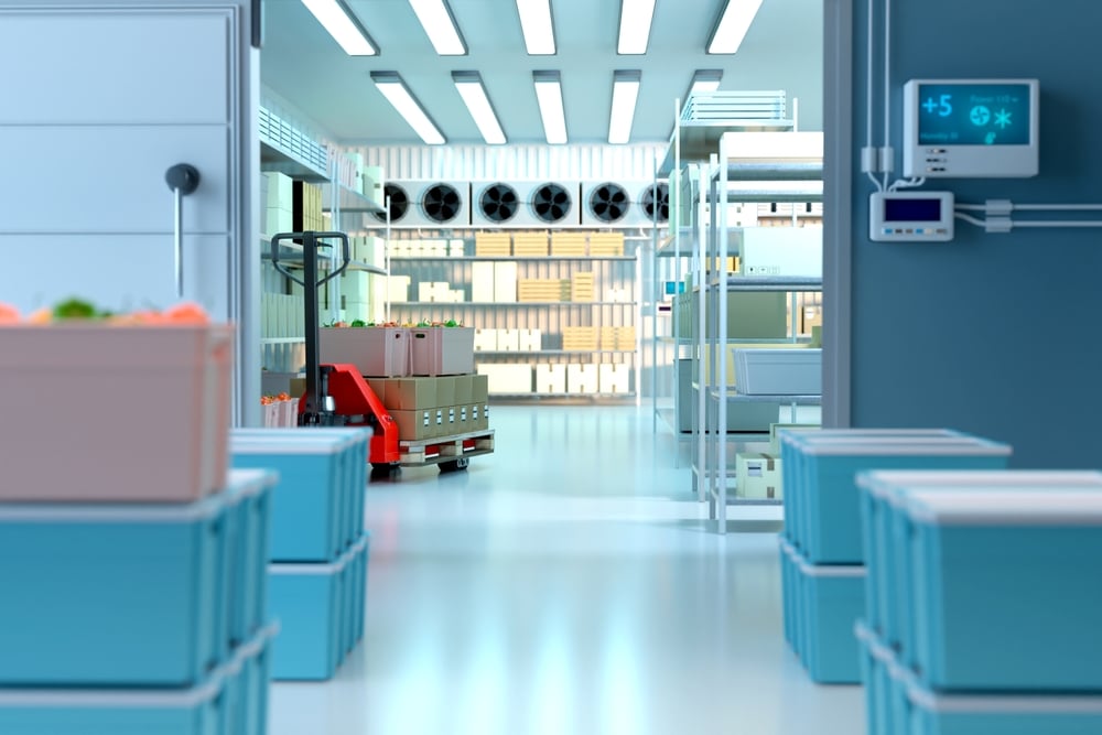 Industrial refrigerated warehouse. Storage for vegetables