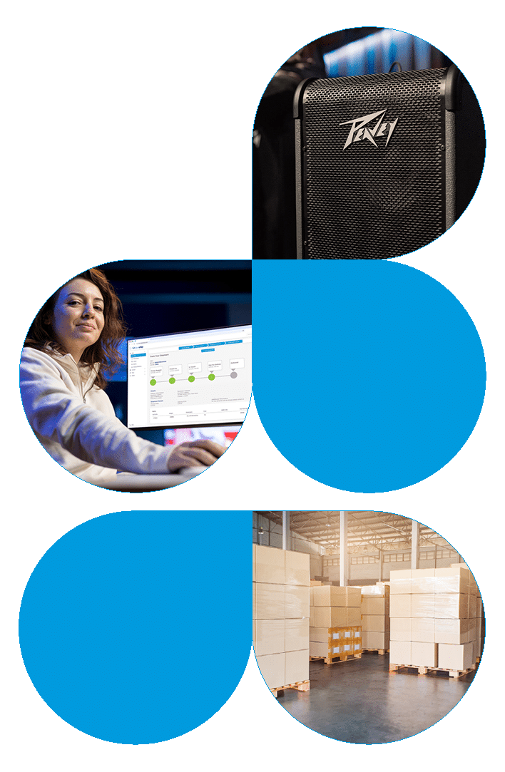 Consumer Electronics SAP ERP Integration, BlueGrace case study